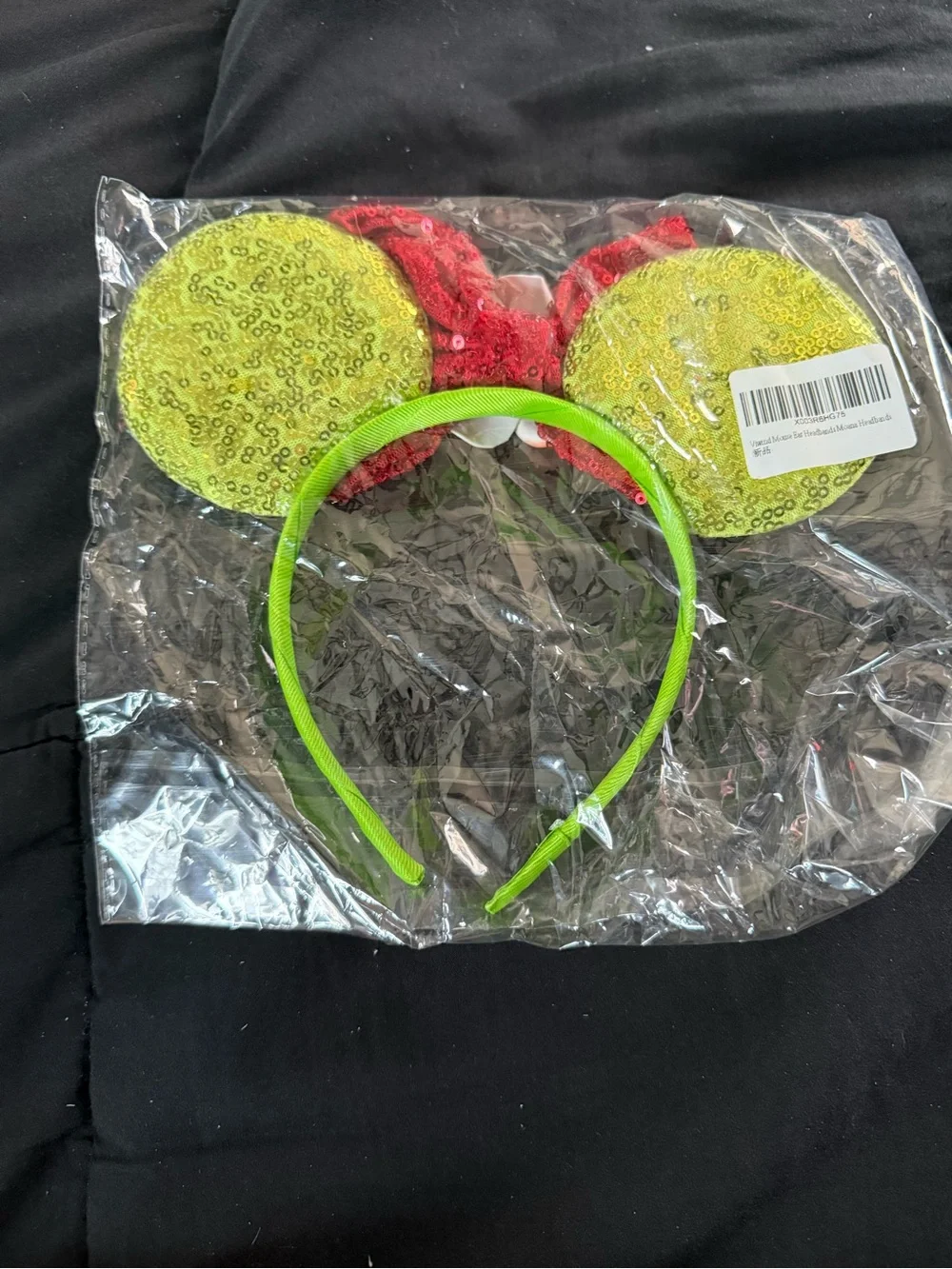 Moana Mickey Ears